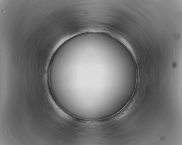 X0000096950803200802080919