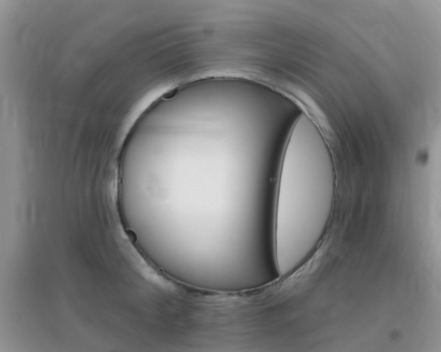 X0000096950804200802080919
