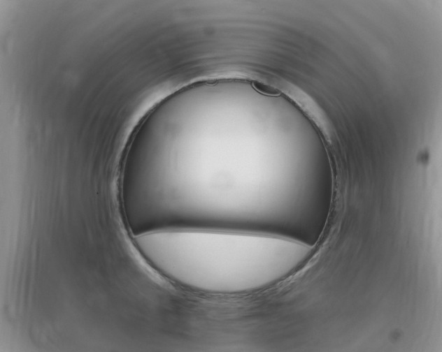 X0000096950805200802080919