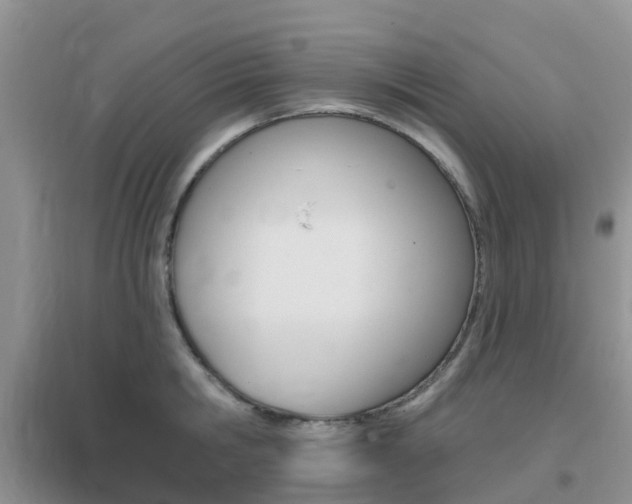X0000096950806200802080919