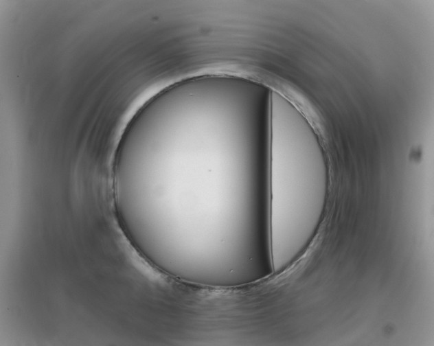 X0000096950808200802080919