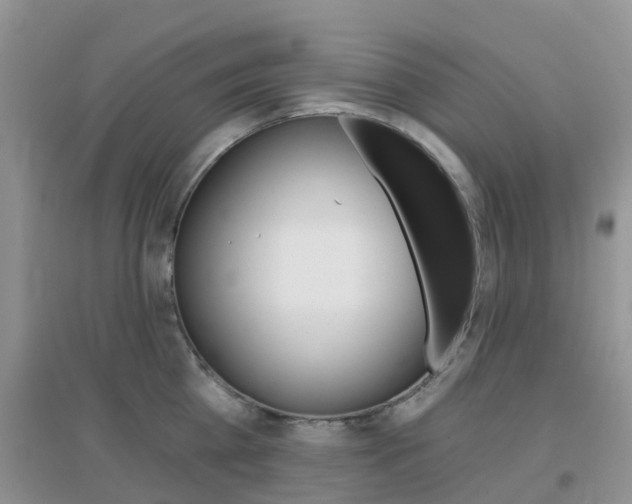 X0000096950809200802080919