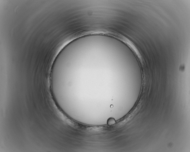 X0000096950810200802080919
