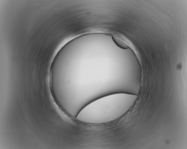 X0000096950811200802080919