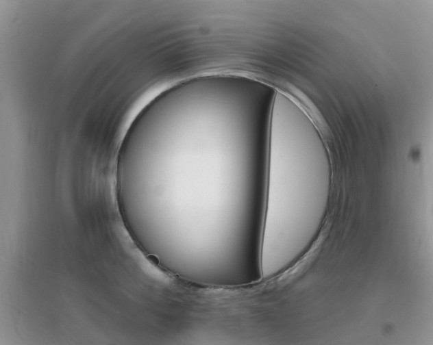X0000096950812200802080919