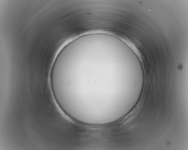 X0000096950813200802080919