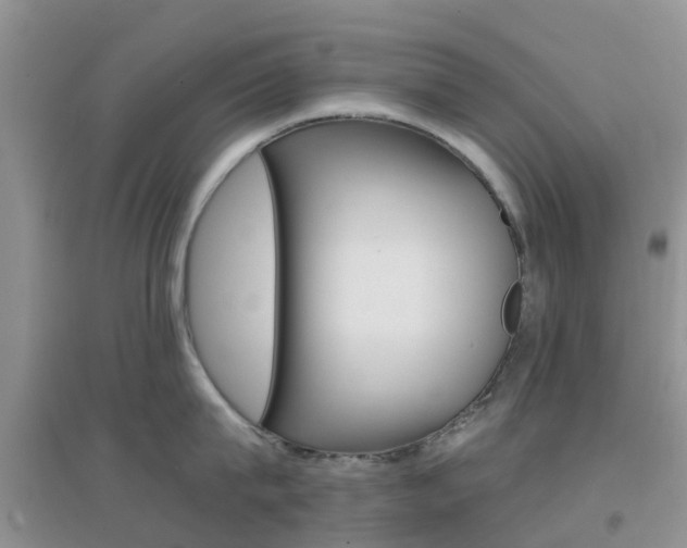 X0000096950815200802080919