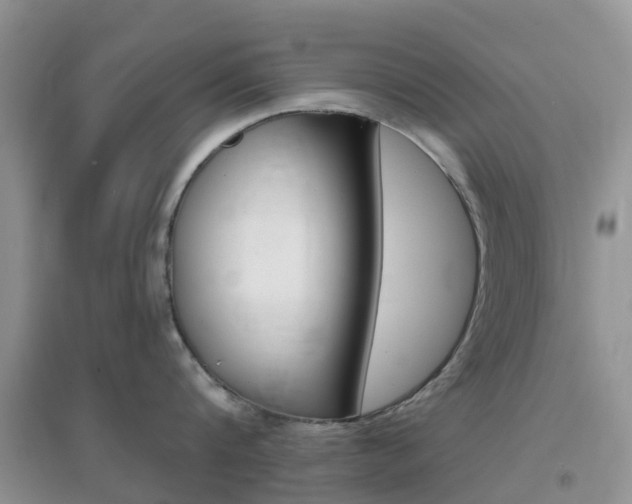 X0000096950816200802080919