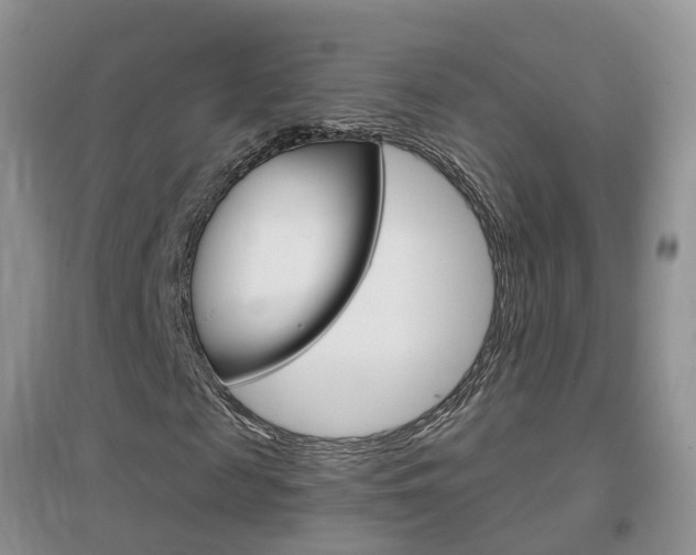 X0000096950817200802080918