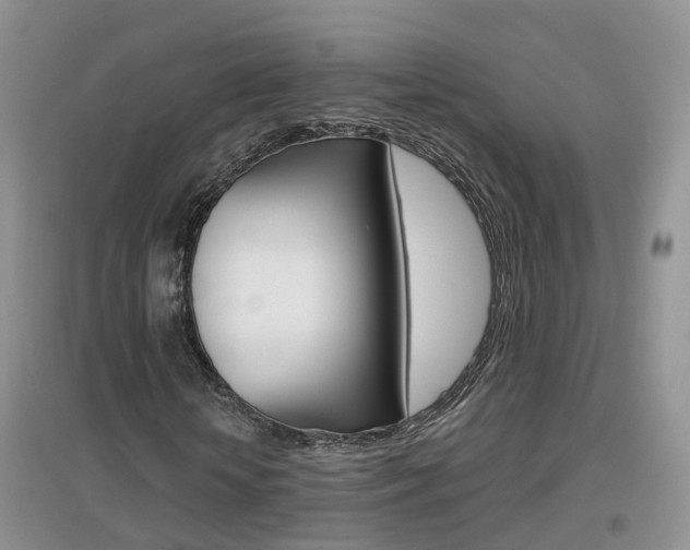 X0000096950818200802080918