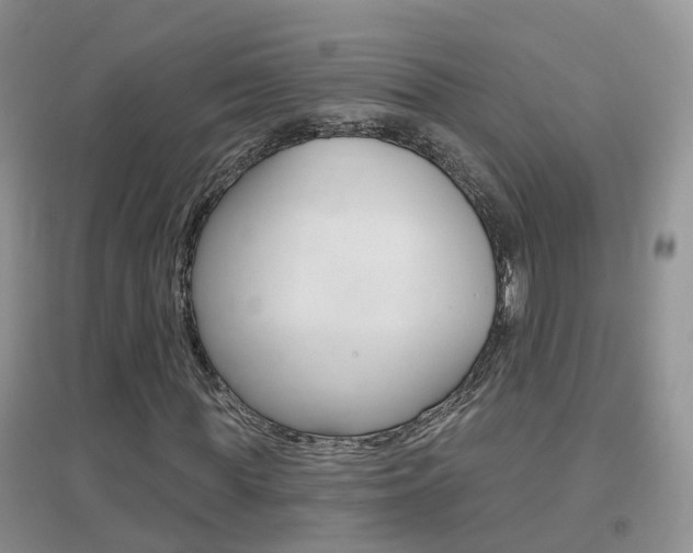 X0000096950819200802080918