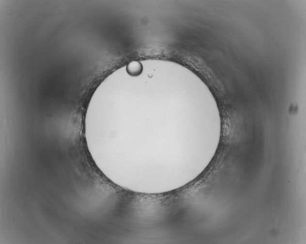 X0000096950820200802080918