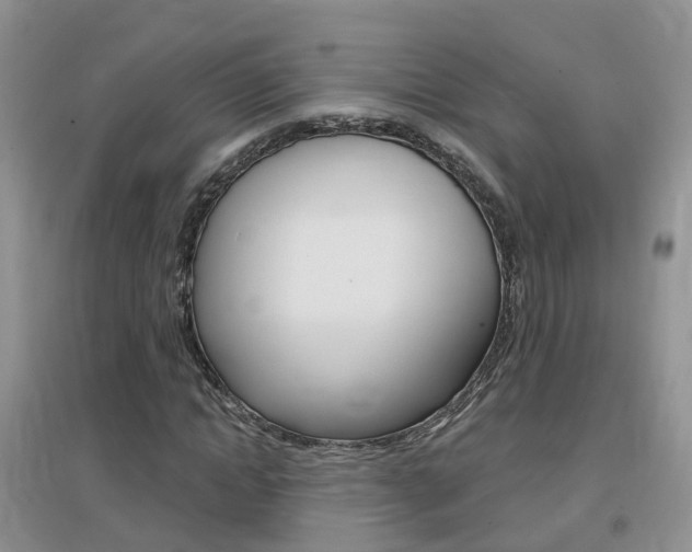 X0000096950822200802080918