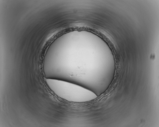 X0000096950823200802080918