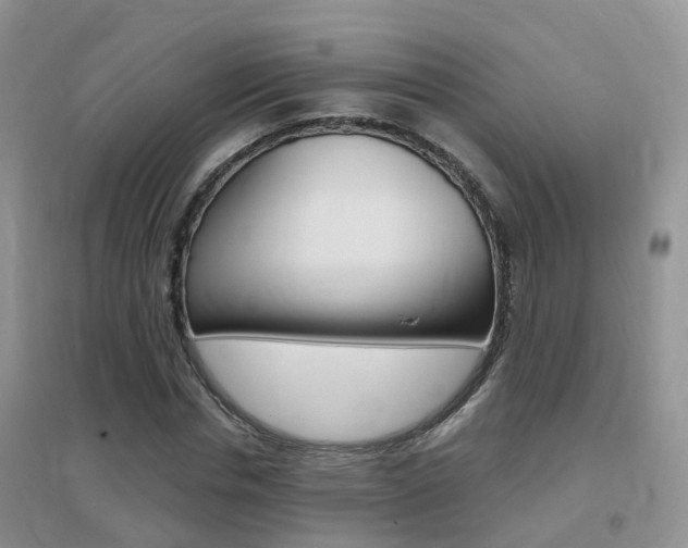 X0000096950826200802080918