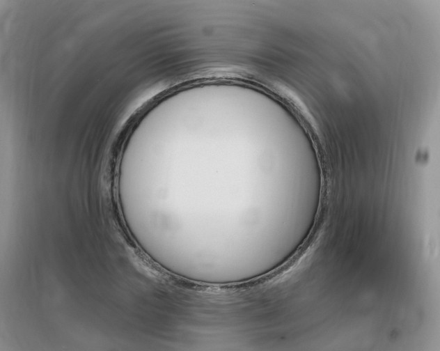 X0000096950827200802080918