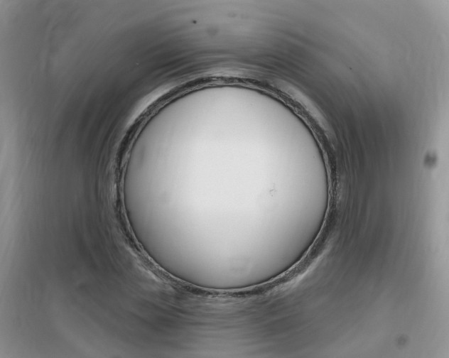 X0000096950829200802080918