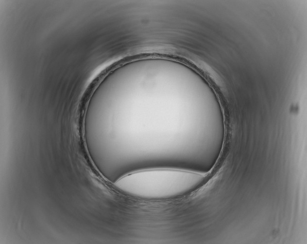 X0000096950830200802080918