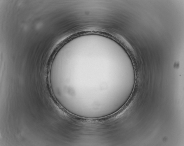 X0000096950831200802080919