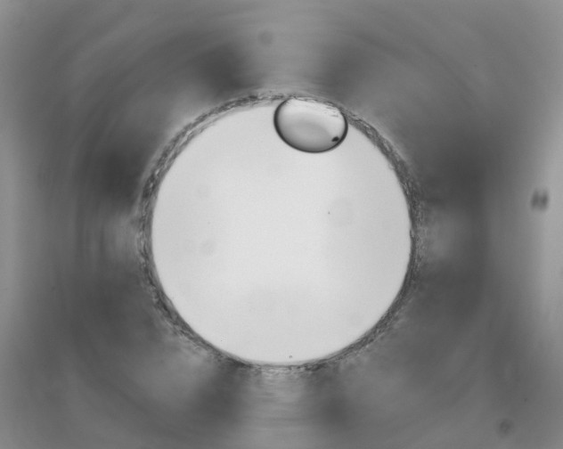 X0000096950832200802080919