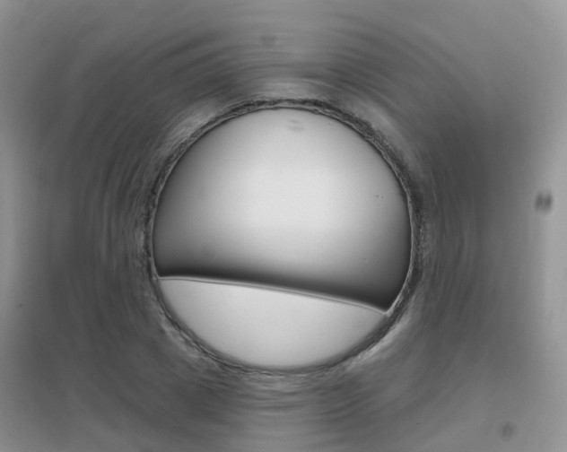 X0000096950833200802080919