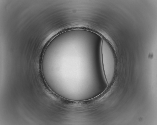 X0000096950834200802080919