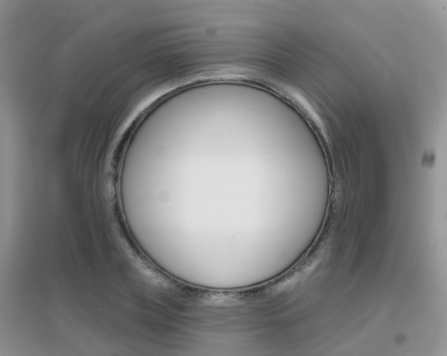 X0000096950835200802080919