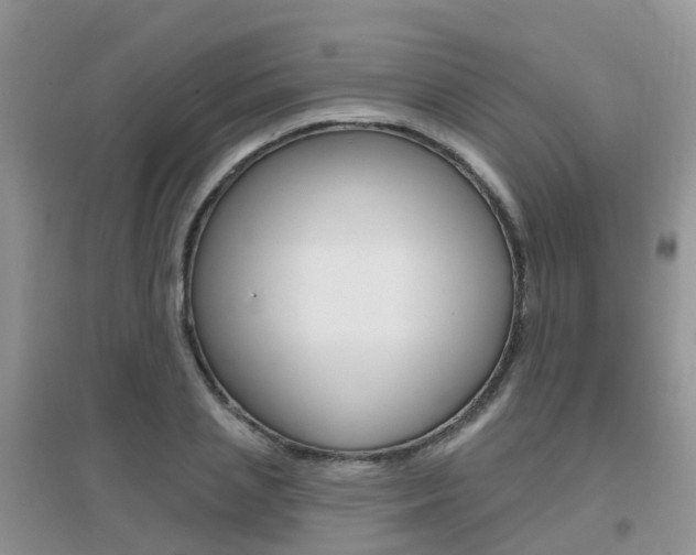 X0000096950837200802080919