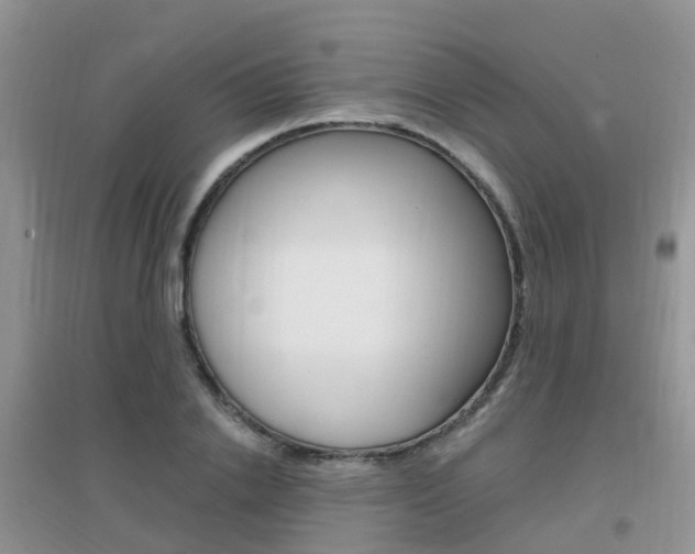 X0000096950838200802080919
