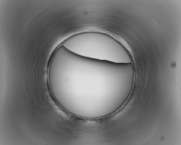 X0000096950839200802080919