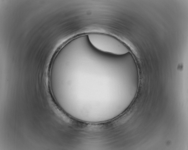 X0000096950840200802080919
