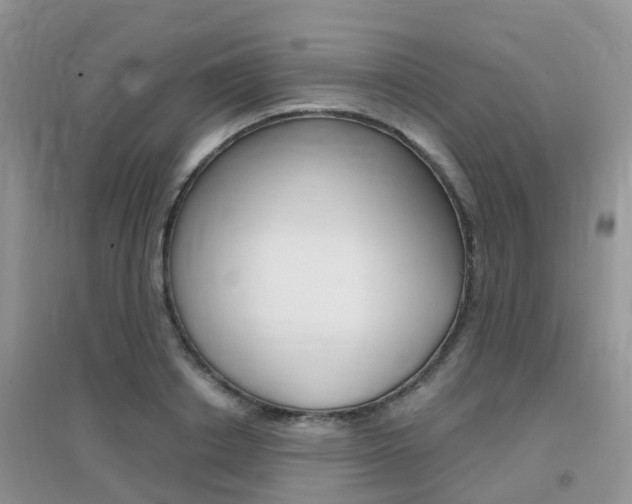 X0000096950842200802080919