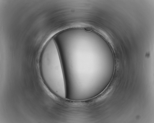 X0000096950843200802080919
