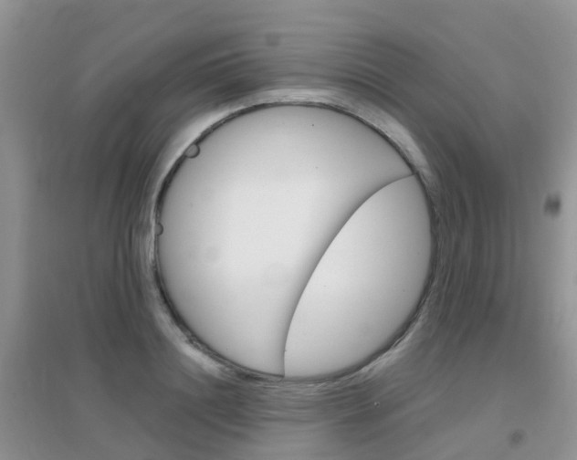 X0000096950844200802080919