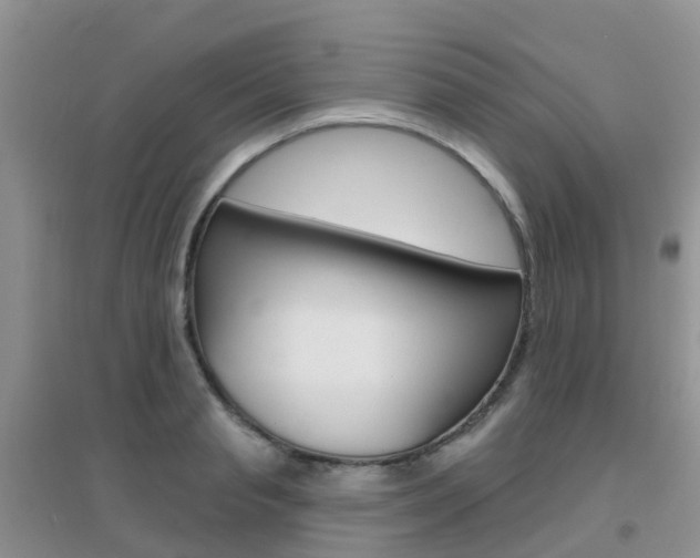 X0000096950845200802080919