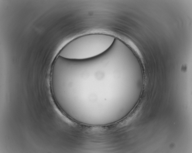 X0000096950847200802080919