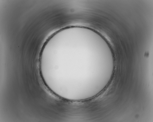 X0000096950848200802080919