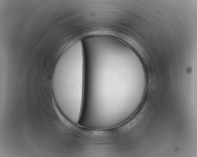 X0000096950849200802080919