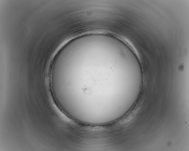 X0000096950851200802080919
