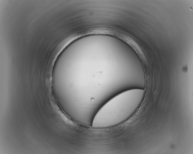 X0000096950852200802080919