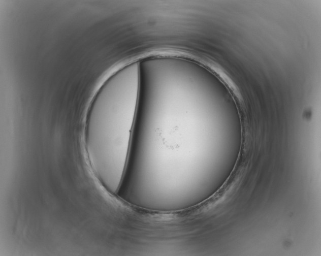 X0000096950853200802080919