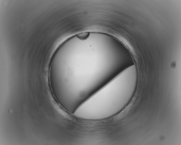 X0000096950854200802080919