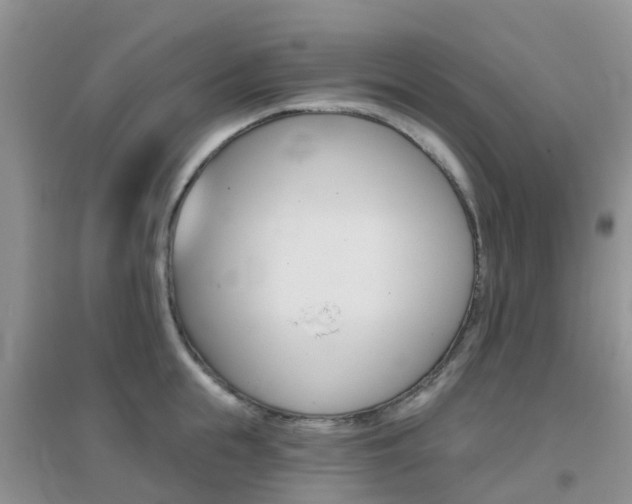 X0000096950855200802080919