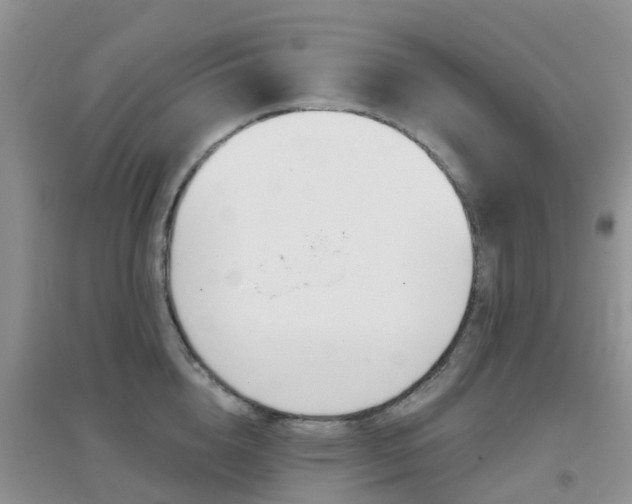 X0000096950856200802080919