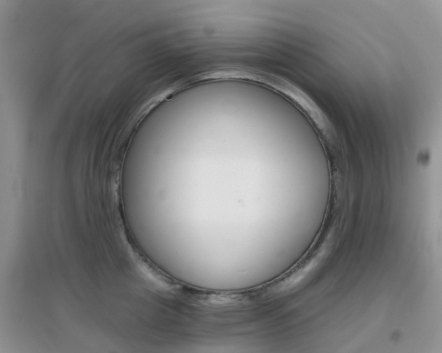 X0000096950857200802080919