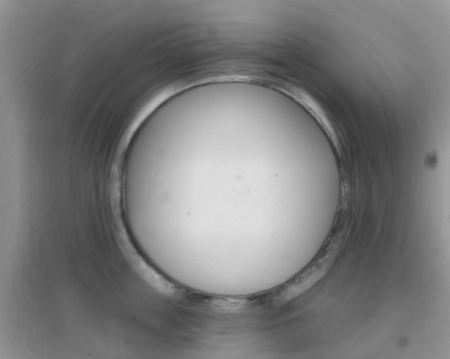 X0000096950859200802080919