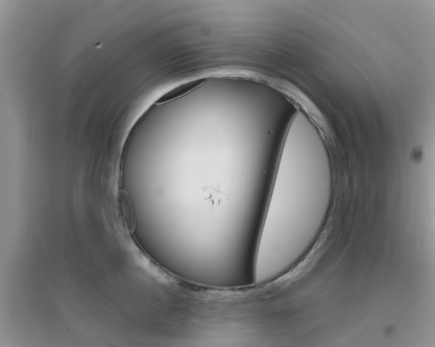 X0000096950860200802080919
