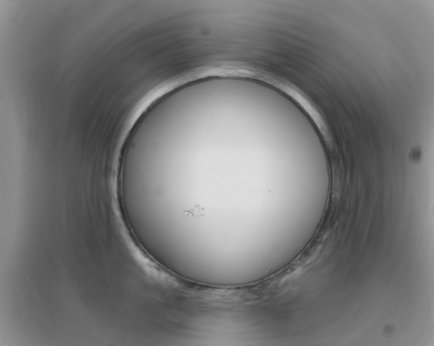 X0000096950861200802080919