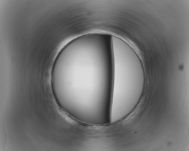 X0000096950862200802080919
