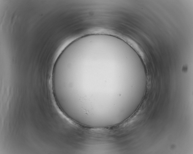 X0000096950863200802080919